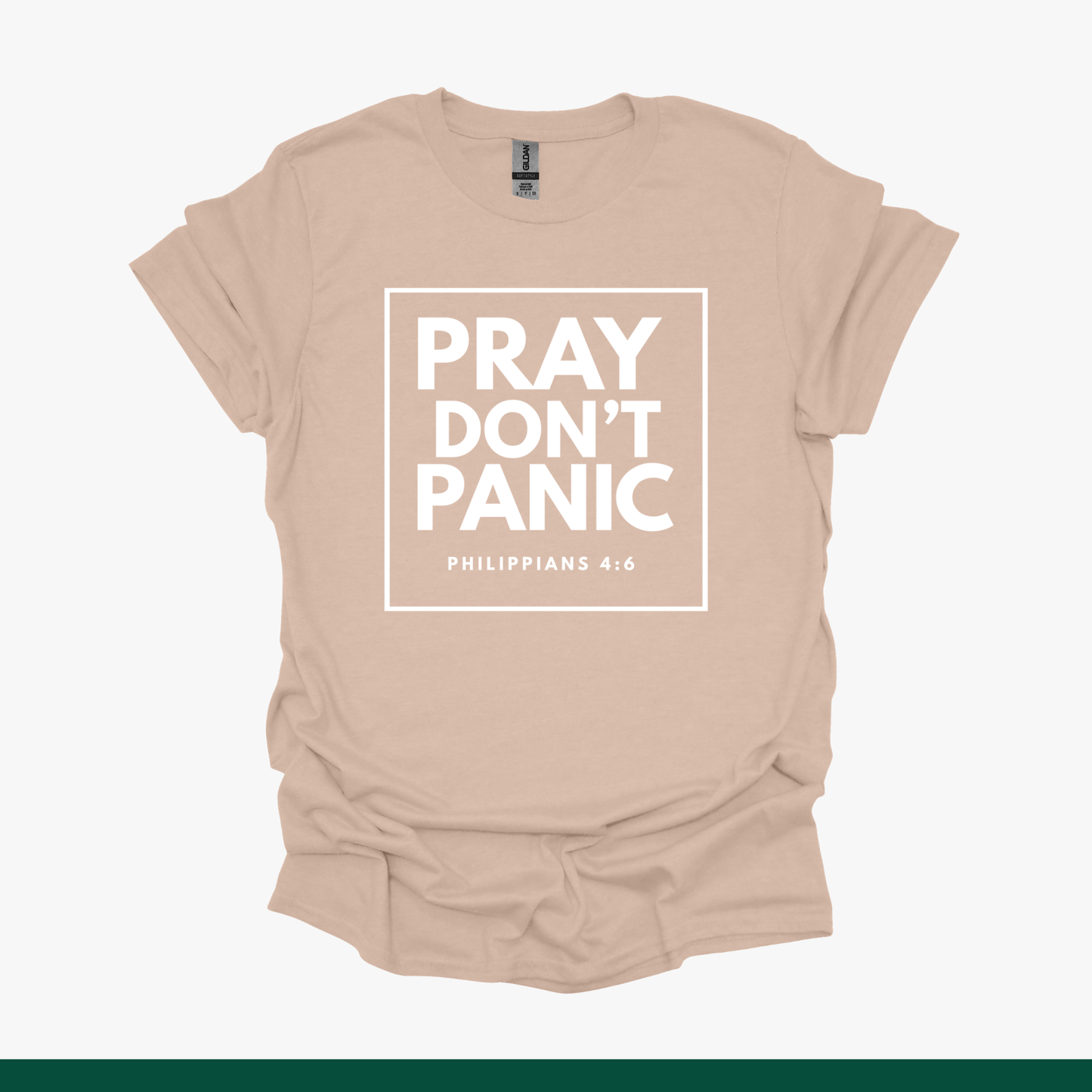 Pray Don't Panic | Philippians 4:6 Faith Tee